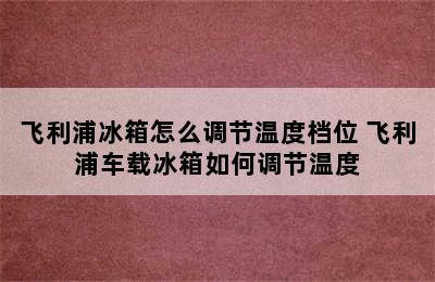 飞利浦冰箱怎么调节温度档位 飞利浦车载冰箱如何调节温度